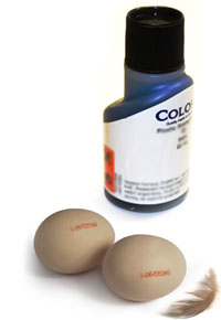 Barva na vajíčka COLORIS - 50 ml